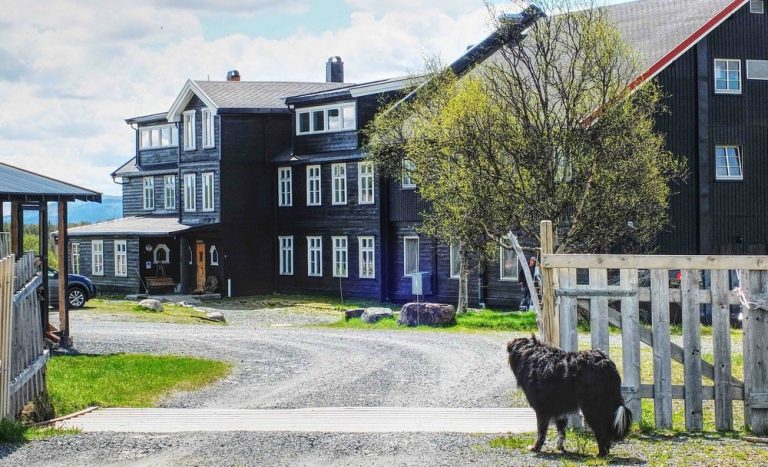 wci norway 2 768x467